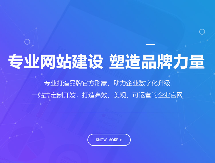 保定建站-专业网站建设 塑造品牌力量